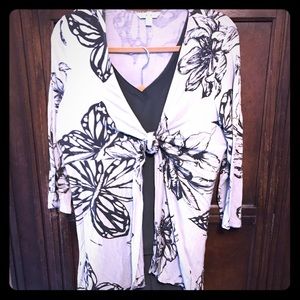 Cabi 3 Piece Butterfly Cropped Pant Set